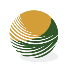 250
